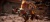 Mortal Kombat 11[NINTENDO SWITCH]
