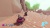 Smurfs Kart[PLAYSTATION 4]