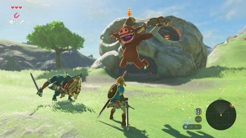 The Legend of Zelda: Breath of the Wild[NINTENDO SWITCH]